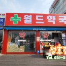 성호약국 이미지