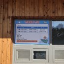 꿀벌나라테마공원 | [경북 칠곡]꿀벌나라테마공원, 칠곡보 사계절썰매장