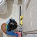 만택이네돌담집 이미지