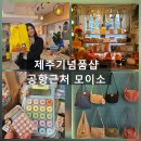 트랜디 조명 | 제주 기념품샵 제주공항 근처 트랜디한 감성 소품샵 후기