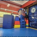 용인대가온태권도 이미지