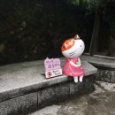 고양이투어 이미지