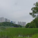 호수공원14로 이미지