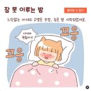 담디 이미지