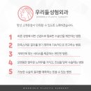 우리들성형외과 이미지