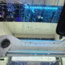 감동 셀프세차 이미지