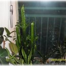 우리화원 이미지