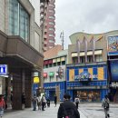 오사카 USJ 후기｜익스프레스 없이 오픈런 성공한 꿀팁, 동키콩 대기10분 만에 탄 후기