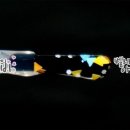 더 부밍 이미지