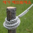 이스타빌 네이버블로그