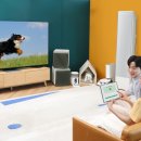 펫스토어 이미지