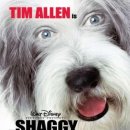 winning dog story's 이미지