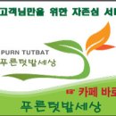 [8월 텃밭메뉴얼] 가을농사 미리 준비~ 배추/무 재배할 밭만들고 배추모종키우고 / 고구마 잎 들추기/ 고추 수확하기 / 배추모종 이식하기등 이미지