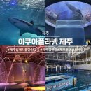 메인보트 | 제주 실내 가볼만한곳 아쿠아리움 가격 투명보트 체험 솔직후기 :: 아쿠아플라넷 제주