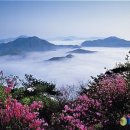 아름다운삶 이미지