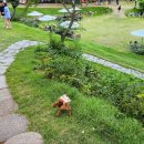 바닐라브릭 이미지