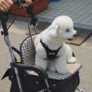 엘리식탁 이미지