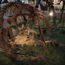 모노로포사우루스 이미지