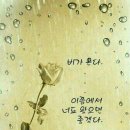 여울 Daum카페