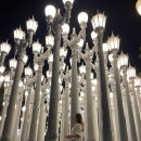 뉴포트비치 이미지