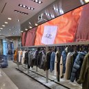 월드라인컴퍼니 | 씨피컴퍼니(CP COMPANY) 2025FW 신상 패딩 & 맨투맨~!잠실 롯데월드몰 방문 후기 (실물 디테일 완전 정리!)