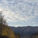 양곡1천 | 데이트·피크닉 명소 💚 미동산수목원 &amp; 충북 아쿠아리움 무료입장 &amp; 괴산 은행나무축제 문광 양곡저수지