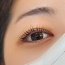 광교 파인렉스2차 이미지