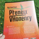 휘닉스파크관광단지 이미지