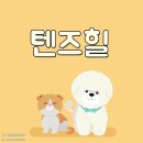 미키애견 이미지