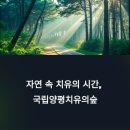 양평 여행 필수 코스! 국립양평치유의숲, 자연 속 힐링 명소
