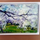 닥터김의원 이미지