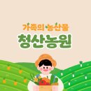 대학마트 - 천안시 동남구 문암로 94 | 괴산대학찰옥수수 공구 후기 산지직송 새벽수확 여름간식