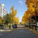 개포신원공인중개사사무소 이미지