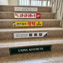 추석엔 송편이쥐 | 대전 중앙로 추석 선물용 오색송편 떡 맛집 , 양희당 주문제작 후기