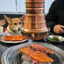 강화도 애견동반식당 홍고추장삼겹살 3+1 내돈내산
