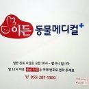 이든 동물메디컬 이미지