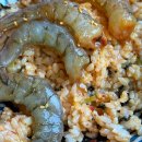 거북섬 오이도 맛집 꽃새담 순살 꽃게 비빔밥 칼국수 새우장