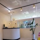 플러스애견미용실 이미지