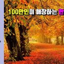 애창 이미지
