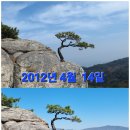 2023년 4월 9일 제22차 경주 남산을 다녀와서 이미지