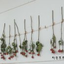 달콤함을담다 이미지
