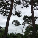 결성초등학교 | 홍성군 결성면 나들이 / 산울림레스토랑 돈까스 / 이응노의 집 피크닉 / 결성동헌 / 결성형장청 / 보라카페