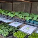 농민농약사 이미지