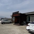 오성막국수 | 속초 막국수 맛집 | 현지인 단골 오성막국수 옹심이칼국수+메밀전 솔직 후기
