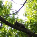 돌뫼식당 이미지