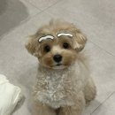 레이즈어라운드
