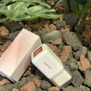 브리키 | 벨벳틴트 추천｜무크 슈슈틴트 202 브리키 데일리틴트 후기 (블러틴트 찐 발견)