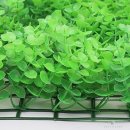 별동자리 이미지