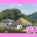 티티부동산공인중개사사무소 이미지