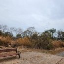 동네행정사사무소 이미지